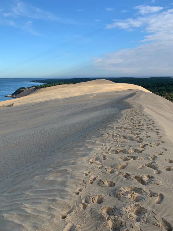 Pyla sur Mer, votre porte d’embarquement pour le Bassin d’Arcachon