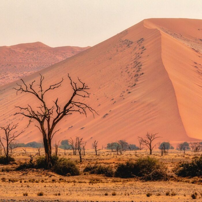 Voyages en terres extrêmes